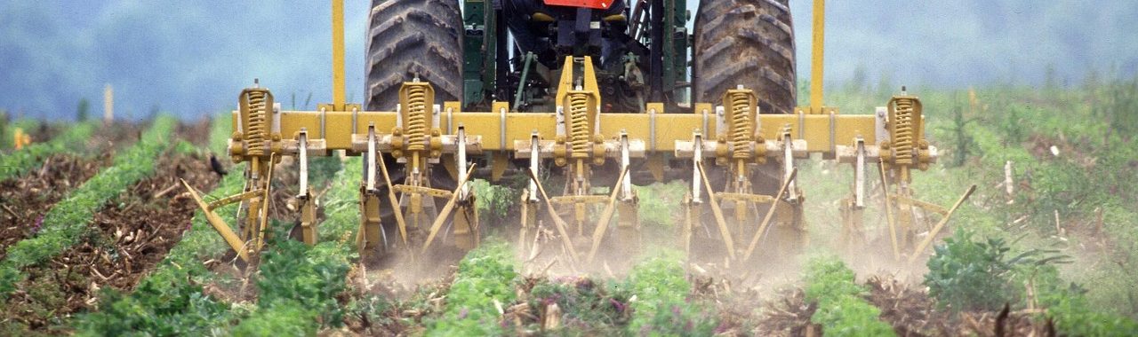 ¿Por qué ser agricultor no es una profesión de moda?