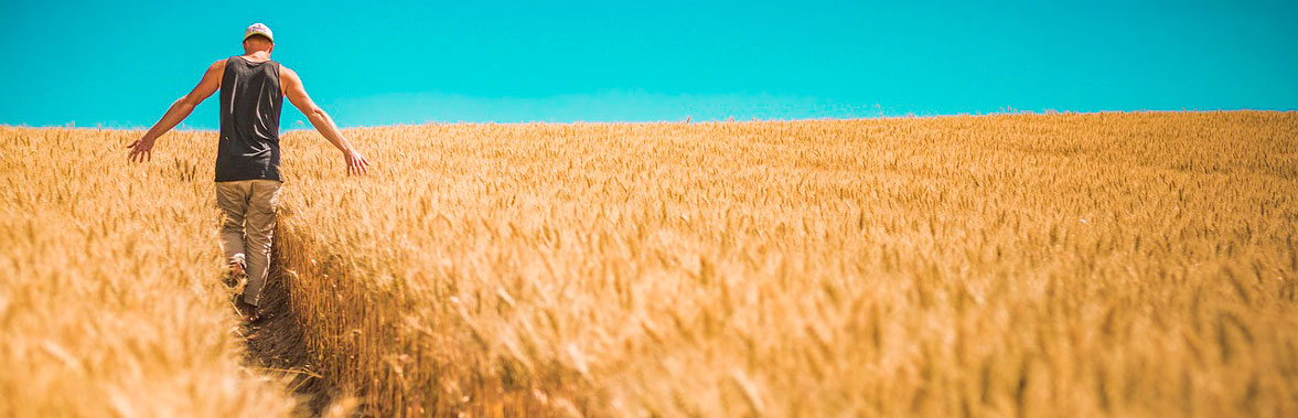 Formación para jóvenes agricultores españoles: escasa y alejada de Europa