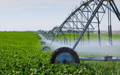 La Conductividad del Agua de Riego