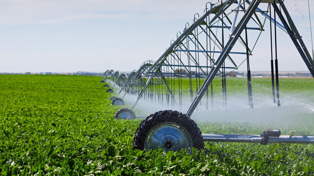 La Conductividad del Agua de Riego