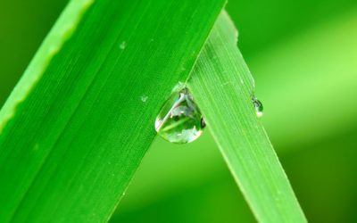 Curso en materia de manejo de agua para agricultores en C-La Mancha