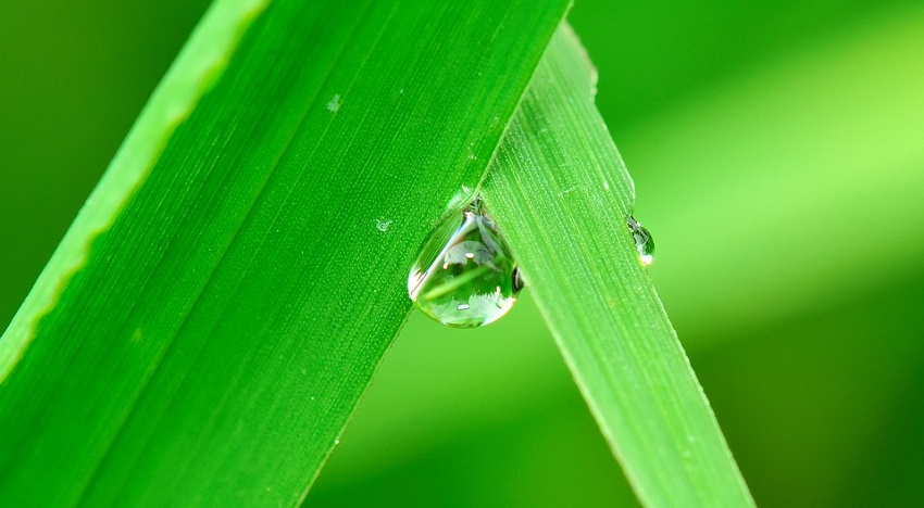 Curso en materia de manejo de agua para agricultores en C-La Mancha