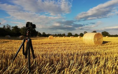 ¿Participas en la VII edición del concurso de fotografía y vídeo Agrophoto?