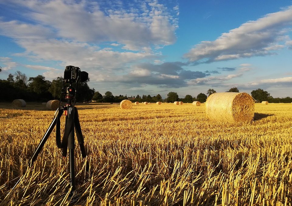 ¿Participas en la VII edición del concurso de fotografía y vídeo Agrophoto?