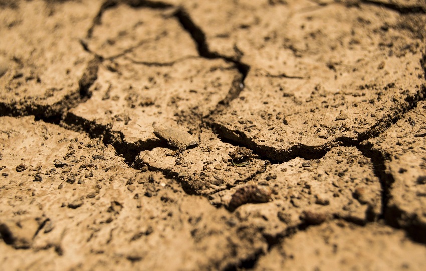 ¿Cómo interpretar datos de humedad del suelo?