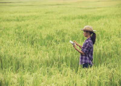 Curso de Incorporación a la Empresa Agraria en Castilla-La Mancha / Actualización 2022