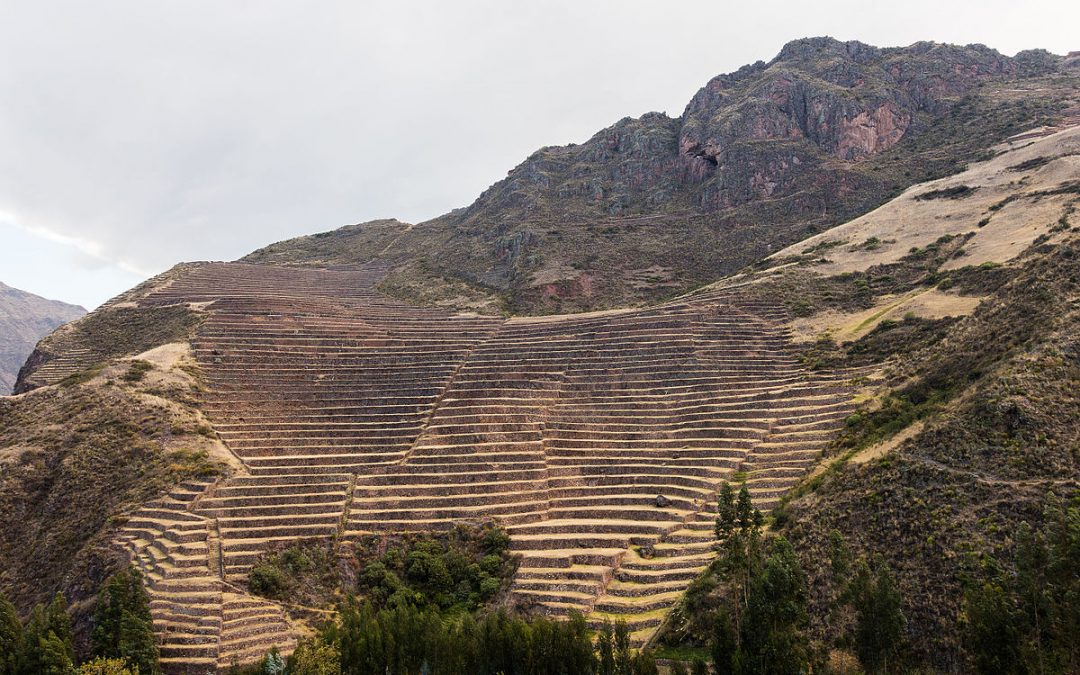Curso de Especialización sobre Innovación Tecnológica en Riego de Precisión con enfoque a la Agricultura 4.0.