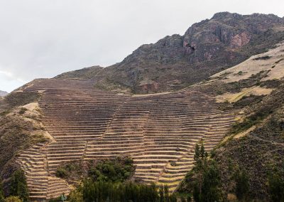 Curso de Especialización sobre Innovación Tecnológica en Riego de Precisión con enfoque a la Agricultura 4.0.
